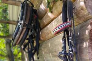 ADAMCYKÓWKA NOCLEGI KLUSZKOWCE