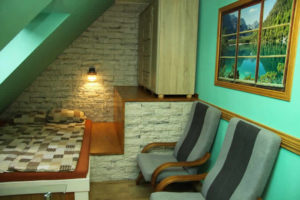APARTAMENT I POKOJE GOŚCINNE U PAWŁA NIEDZICA