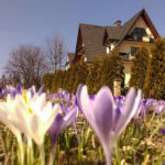 Cetynka Pokoje Gubałówka Zakopane