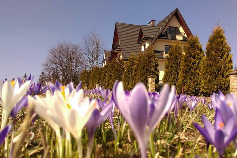 CETYNKA POKOJE GUBAŁÓWKA ZAKOPANE