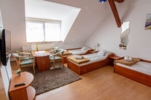 SULINOWY DOM REVITAL SPA BASEN BORNE SULINOWO