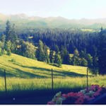 Cichy Zakątek U Marysi Na Dolinie Murzasichle