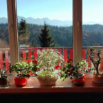POKOJE JOLKA W BUKOWINIE TATRZAŃSKIEJ Z WIDOKIEM NA TATRY