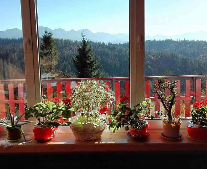 POKOJE JOLKA W BUKOWINIE TATRZAŃSKIEJ Z WIDOKIEM NA TATRY
