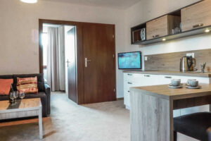 APARTAMENTY & DOMKI WYSOWA DWÓR BESKID NISKI
