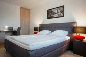 APARTAMENTY & DOMKI WYSOWA DWÓR BESKID NISKI