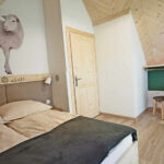 Domki Bajka W Gliczarowie Tatry - Do Wynajęcia Spanko24.Today Domki Bajka W Gliczarowie Tatry